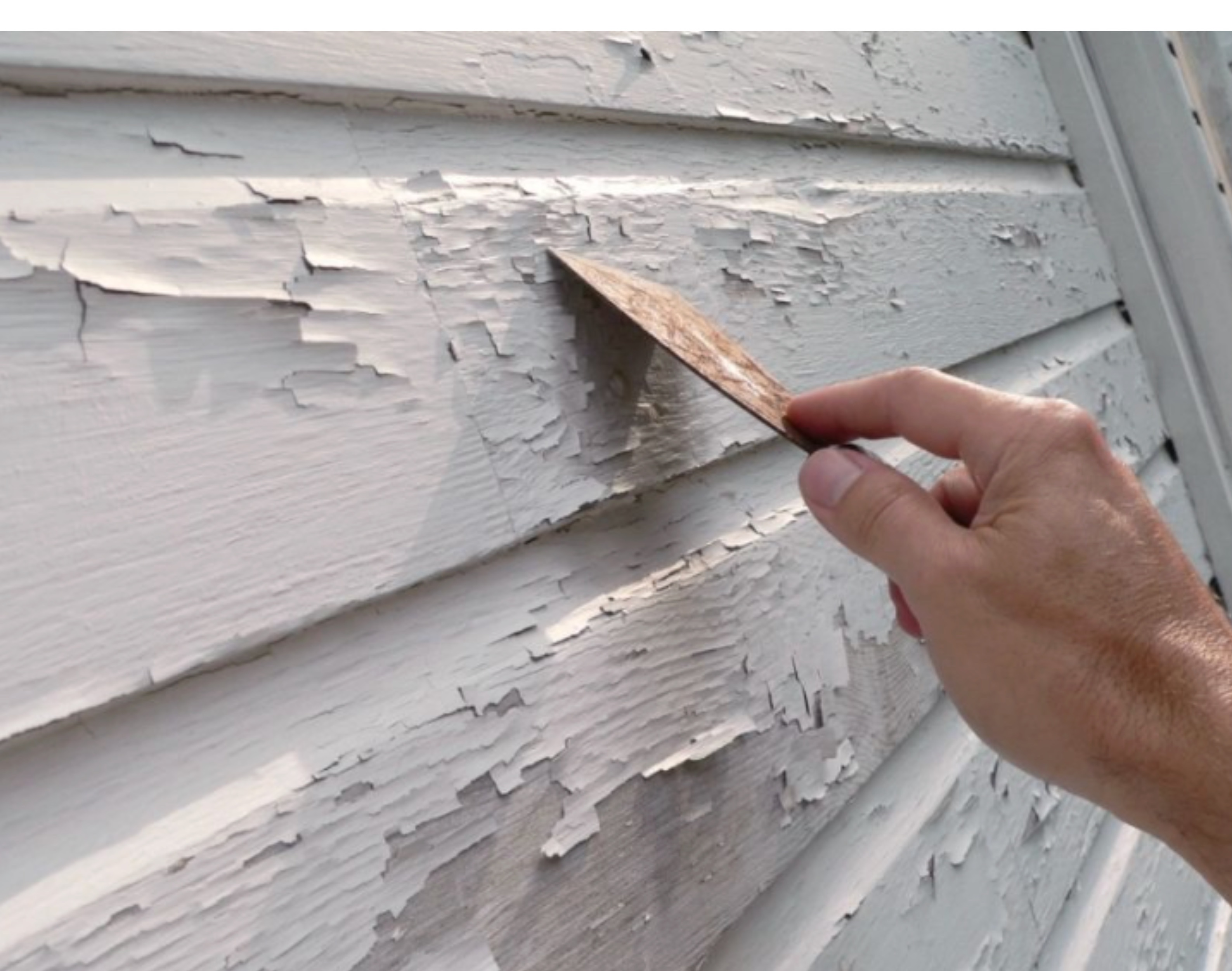 Paint scraping and surface preparation on weathered siding, Vancouver Island